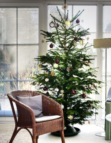 christmas-tree-6882427_1280